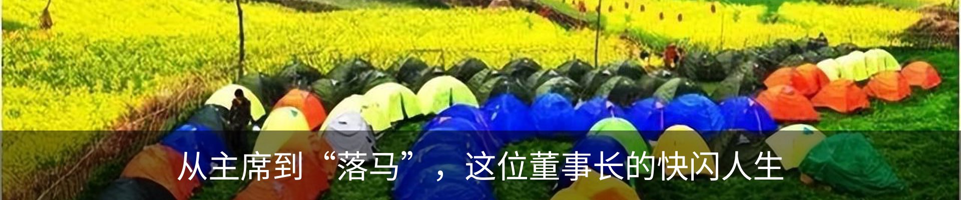 新闻动态