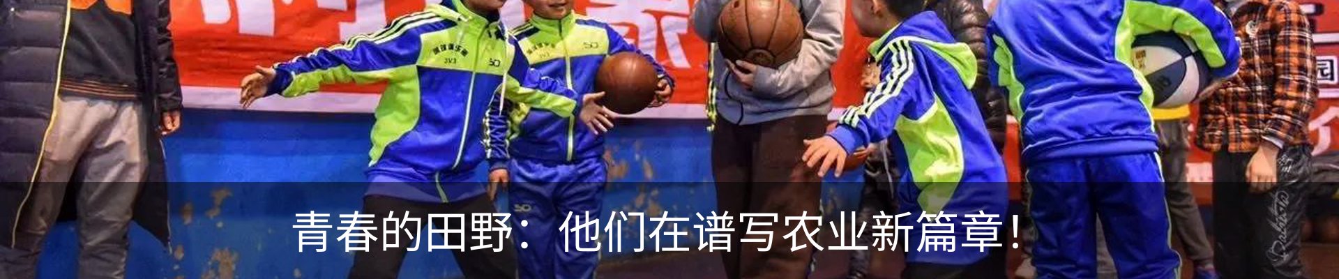 新闻动态